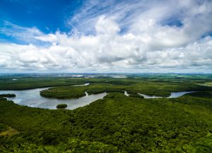 Amazon Rainforest in Brazil, South America - Source: Frazao, Gustavo. Amazon Rainforest in Brazil, South America. Digital Image. Shutterstock, [Date Published Unknown]