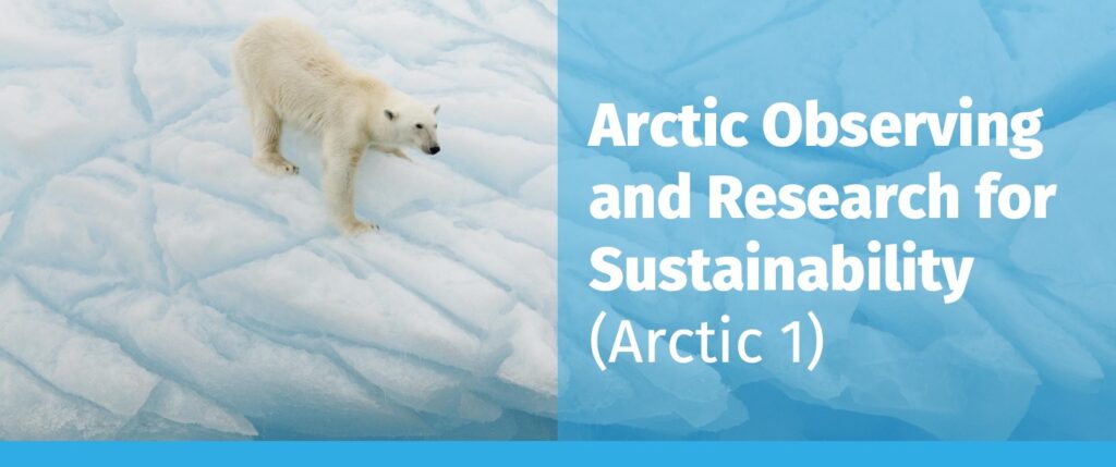 Arctic Observing and Research for Sustainability