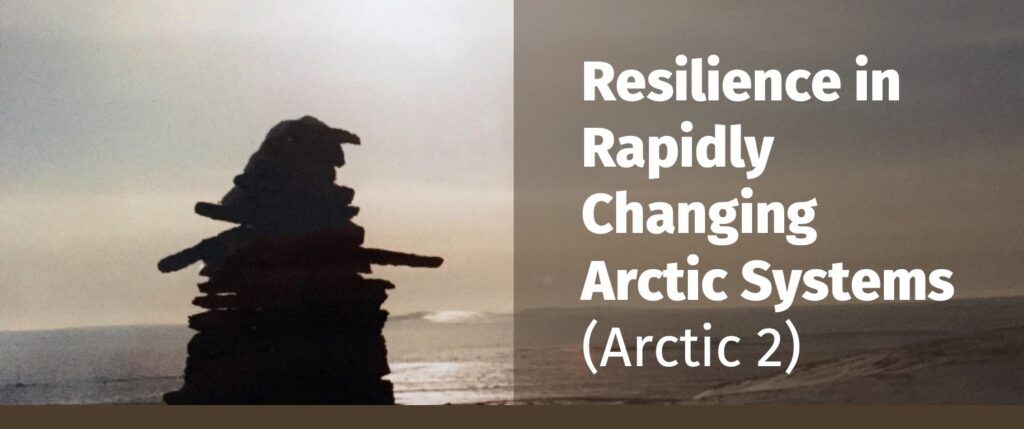 Resilience in Rapidly Changing Arctic Systems