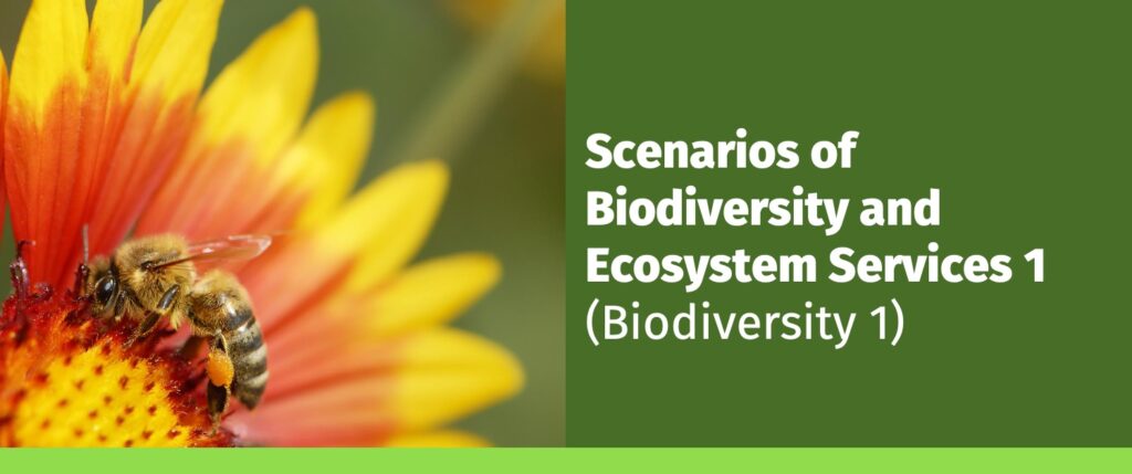 Scenarios of Biodiversity and Ecosystem Services