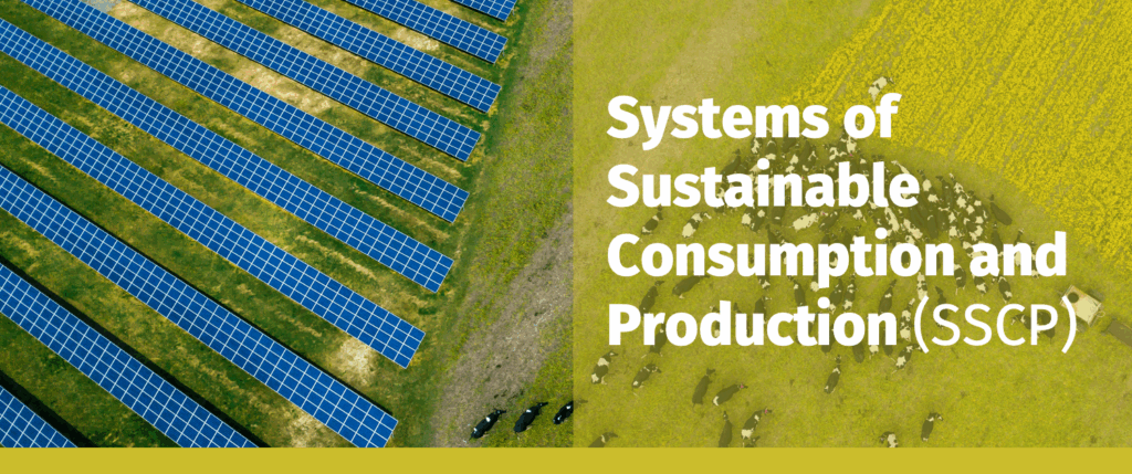 Systems of Sustainable Consumption and Production