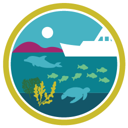 OCEAN 2 – Towards the Ocean We Want: Biodiversity and Ecosystem Sustainability for Nature and Human Well-being icon