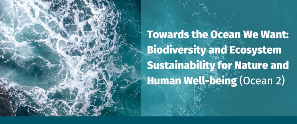 Towards the Ocean We Want: Biodiversity and Ecosystem Sustainability for Nature and Human Well-being