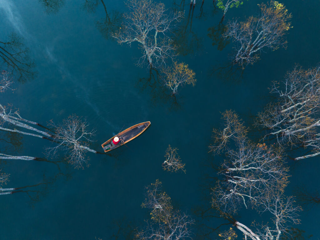An aerial view of a small boat with a person in it, navigating through a body of water with numerous bare tree branches submerged or partially submerged, creating a unique pattern on the water's surface.