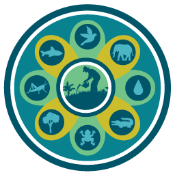 Scenarios of Biodiversity and Ecosystem Services 1 icon