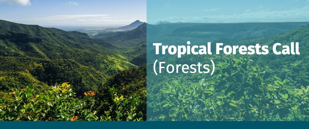 Tropical Forests Call (Forests)