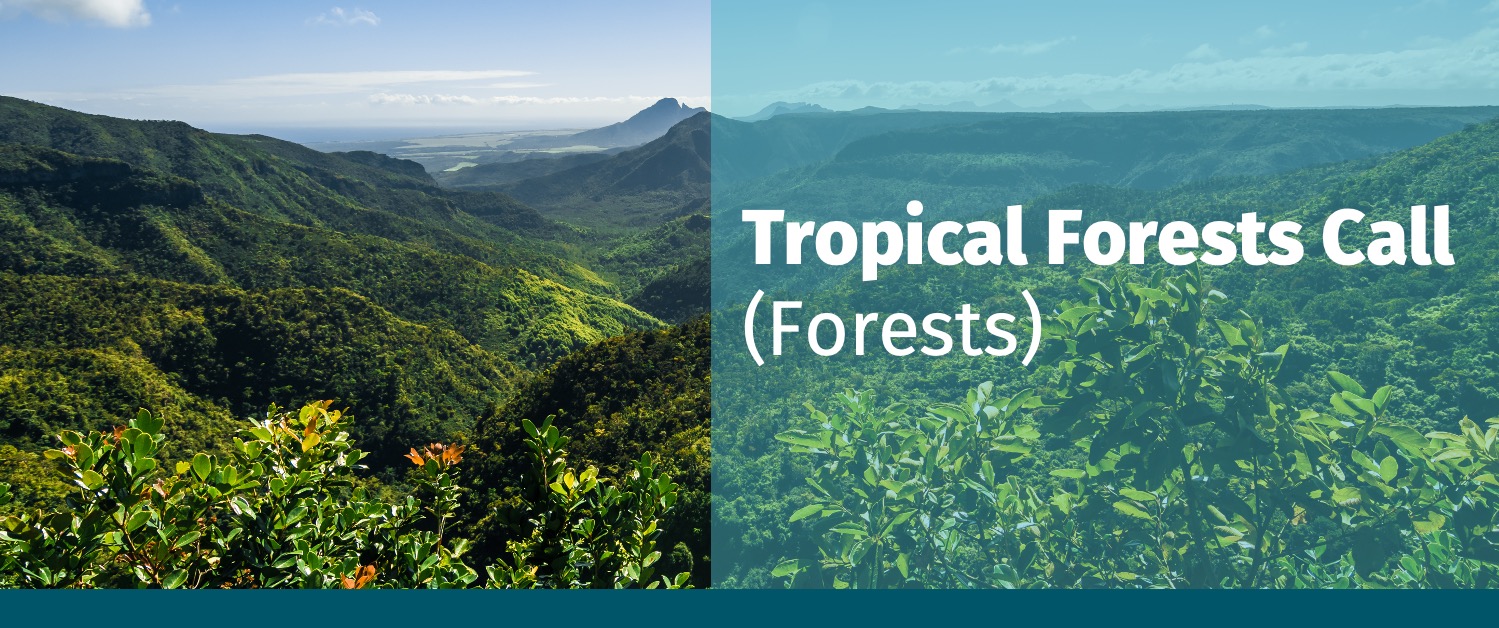 Tropical Forests Call (Forests)