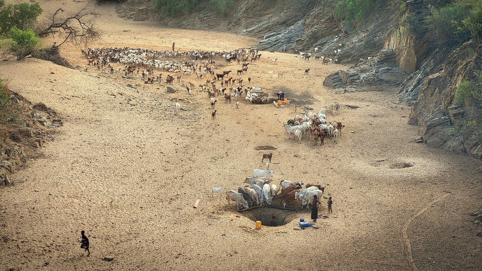 BFPC2026-03 20260211_084427_edited - Simon Bunchuay-Peth