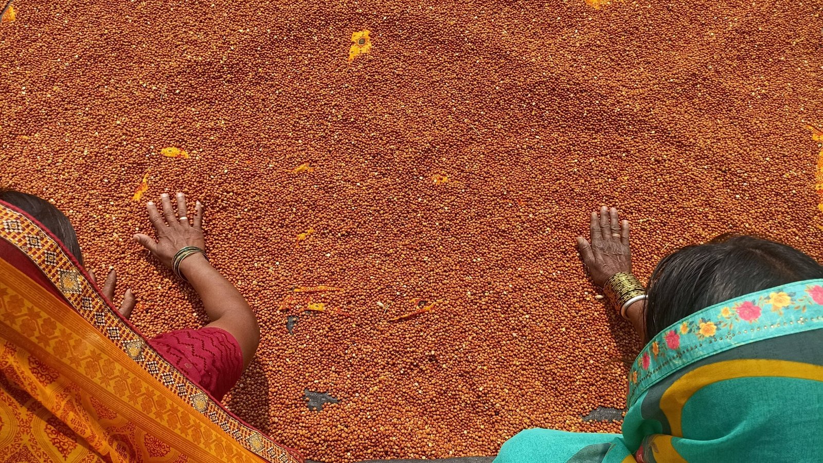 BFPC2026-40 SOPPECOM-Women for Seed Sovereignty - Swati Satpute (1)