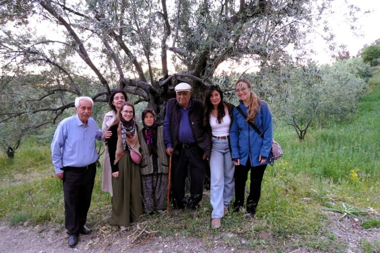 50. Under the Ancient Olive Tree