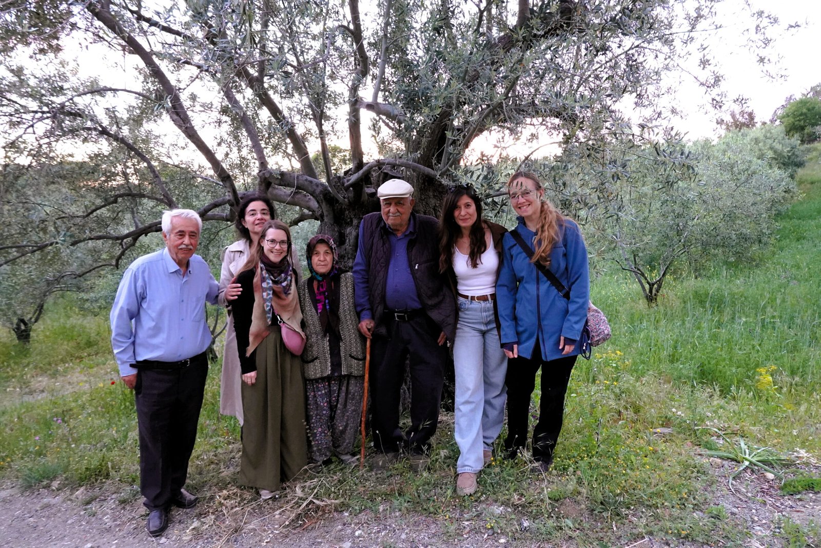 BFPC2026-50 Under the Ancient Olive tree - Pia
